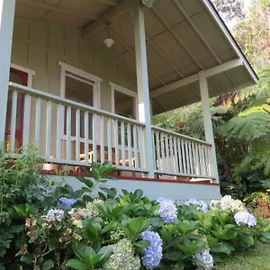 https://carsons-kaloko-mountain-cabin.hotelsinhawaii.org